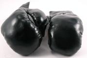 1 Pair  16oz Boxing Gloves